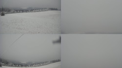 Sdružený snímek Bludný