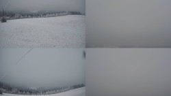 Sdružený snímek Bludný