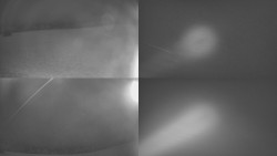 Sdružený snímek Bludný