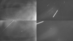 Sdružený snímek Bludný