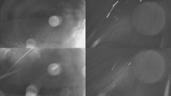 Sdružený snímek Bludný