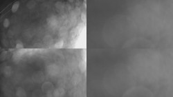 Sdružený snímek Bludný