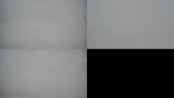 Sdružený snímek Bludný