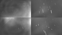 Sdružený snímek Bludný