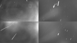 Sdružený snímek Bludný