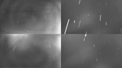 Sdružený snímek Bludný