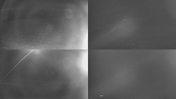 Sdružený snímek Bludný