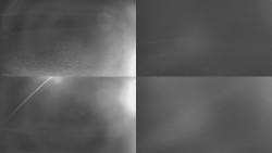 Sdružený snímek Bludný