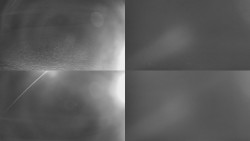 Sdružený snímek Bludný