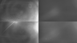 Sdružený snímek Bludný