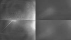 Sdružený snímek Bludný