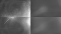 Sdružený snímek Bludný