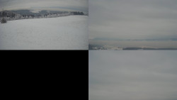 Sdružený snímek Bludný