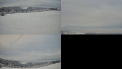 Sdružený snímek Bludný