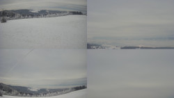 Sdružený snímek Bludný