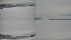 Sdružený snímek Bludný