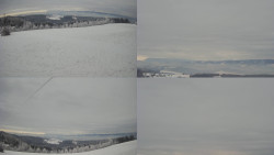 Sdružený snímek Bludný