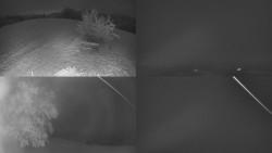 Sdružený snímek Bludný