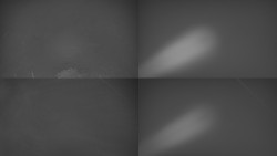 Sdružený snímek Bludný