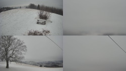 Sdružený snímek Bludný