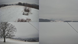 Sdružený snímek Bludný