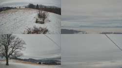 Sdružený snímek Bludný