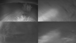 Sdružený snímek Bludný