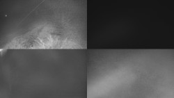 Sdružený snímek Bludný