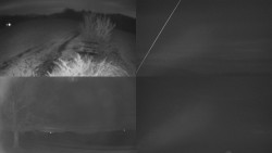 Sdružený snímek Bludný