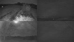 Sdružený snímek Bludný