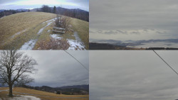 Sdružený snímek Bludný