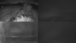 Sdružený snímek Bludný