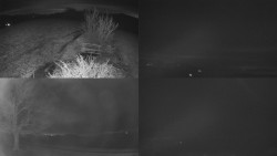 Sdružený snímek Bludný