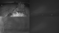 Sdružený snímek Bludný