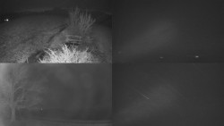 Sdružený snímek Bludný