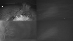 Sdružený snímek Bludný