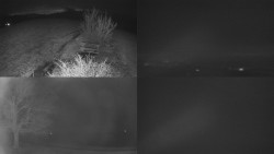 Sdružený snímek Bludný