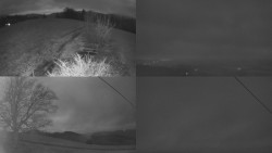 Sdružený snímek Bludný