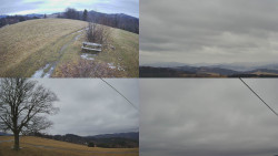 Sdružený snímek Bludný