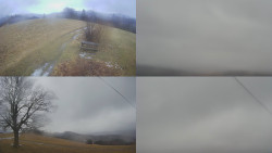 Sdružený snímek Bludný