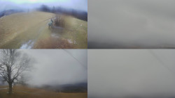 Sdružený snímek Bludný