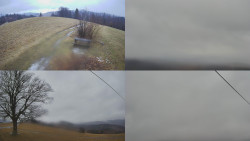 Sdružený snímek Bludný