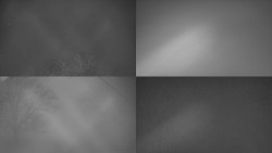 Sdružený snímek Bludný