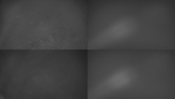 Sdružený snímek Bludný