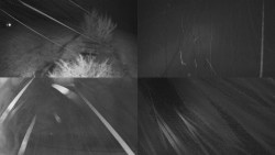 Sdružený snímek Bludný