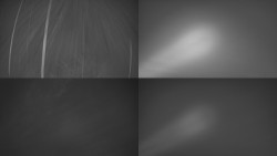 Sdružený snímek Bludný