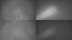 Sdružený snímek Bludný