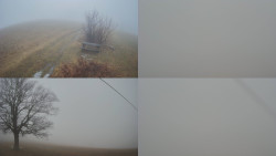 Sdružený snímek Bludný