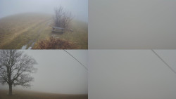 Sdružený snímek Bludný