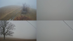 Sdružený snímek Bludný